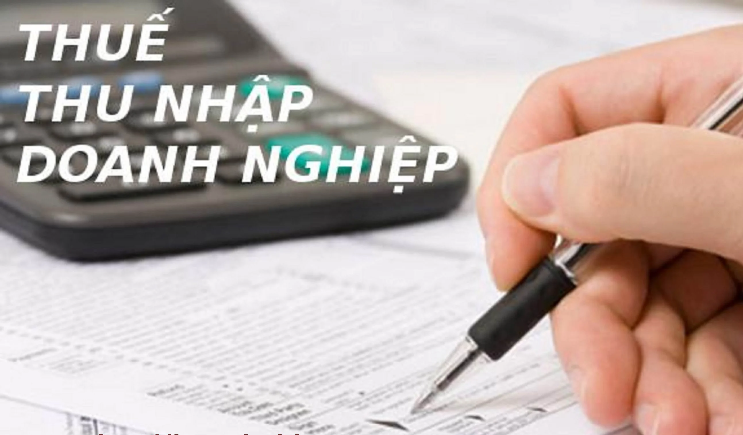 Đào tạo chuyên môn về pháp luật thuế GTGT số 48, Luật thuế TNDN số 67